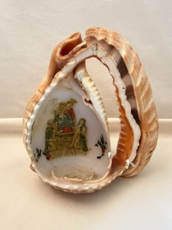 Vintage Other - Vintage Seashell Art